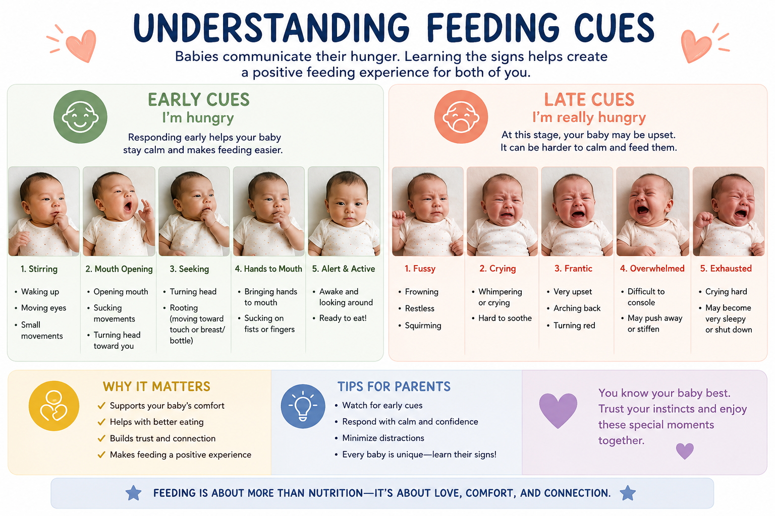 Understanding Feeding Cues